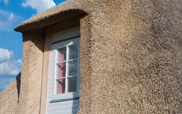 Lancing thatch roof disadvantages